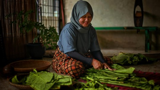 Casa, consumo e identidade: o que o novo varejo revela sobre nós