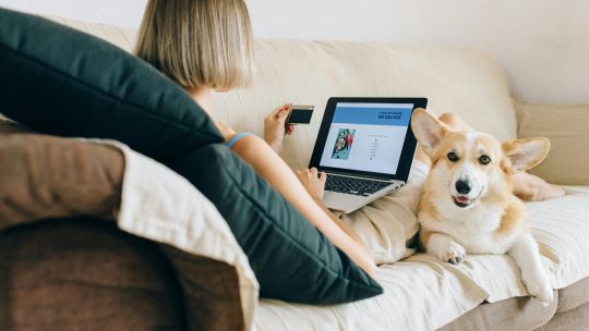 E-commerce de Alimentos para Pets: Recorde de Vendas em 2024