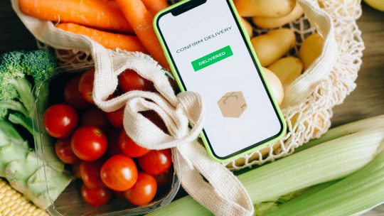 Agro dá lições ao e-commerce