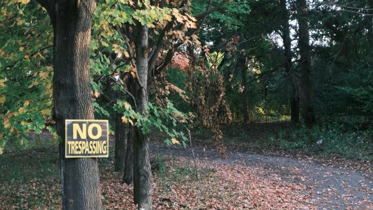 Governo proíbe vendas de destilados e-commerce: entenda!