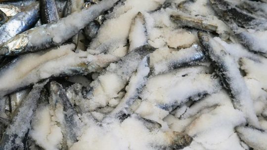 Black Friday: prepare seu e-commerce para vender mais!