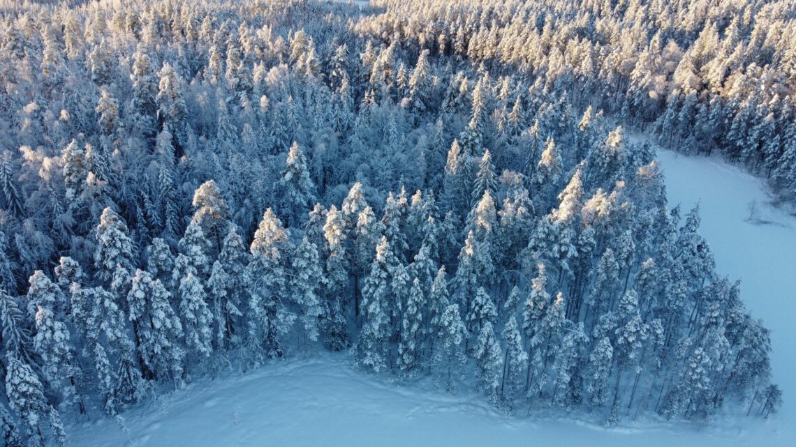 Nokia reorganiza operações e mira rápida expansão em IA até 2028