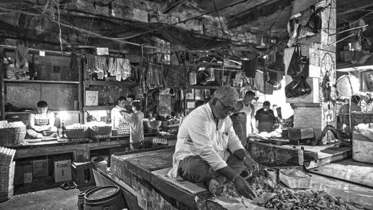 Quem entrega mais resultado na Black Friday: a disputa entre marketplaces pelo lojista