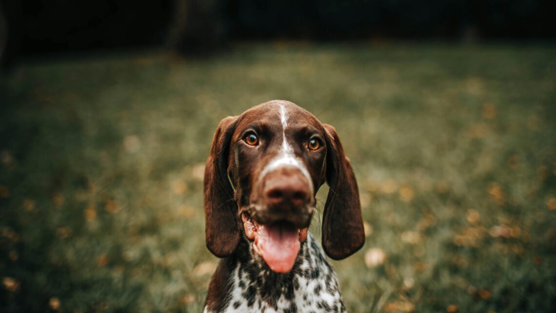 A nova era do boca a boca: como fidelizar clientes no mundo digital