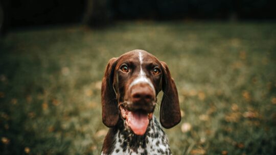 A nova era do boca a boca: como fidelizar clientes no mundo digital