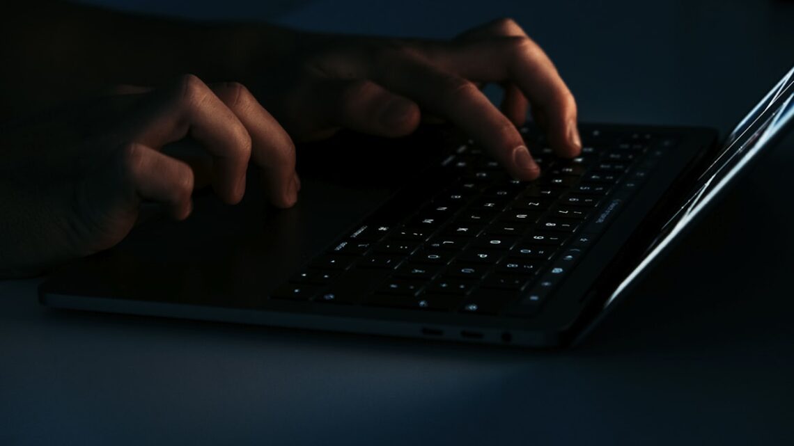 Black Friday: aumento das fraudes no e-commerce exige maior proteção do comércio