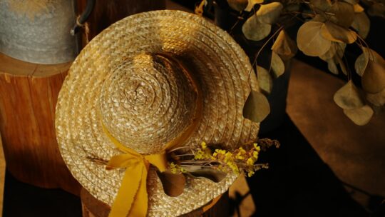 Artesanato de Povos Tradicionais do Tocantins Ganha Plataforma de E-commerce