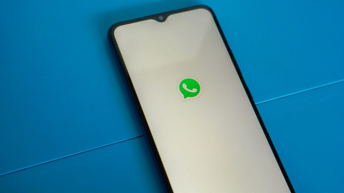 Grupo de WhatsApp Apresenta Novidades em Moda Feminina e Acessórios
